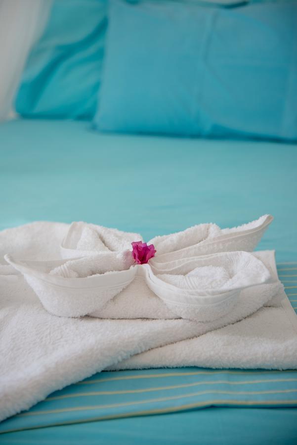 Paroscarmel Studio-Apartment Logaras Dış mekan fotoğraf